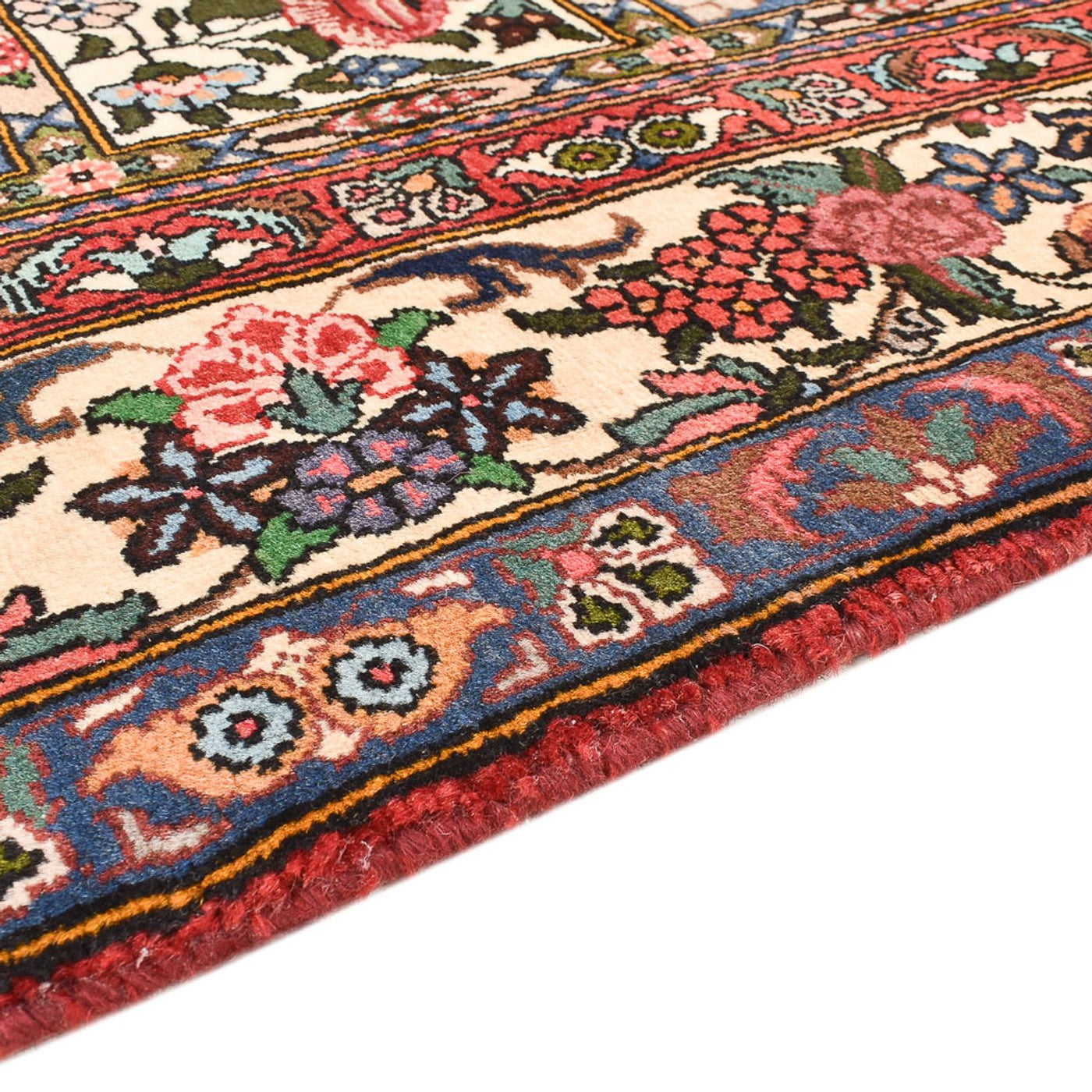 Tapis Bakhtiari Tapis 251x151cm - Tapis persan