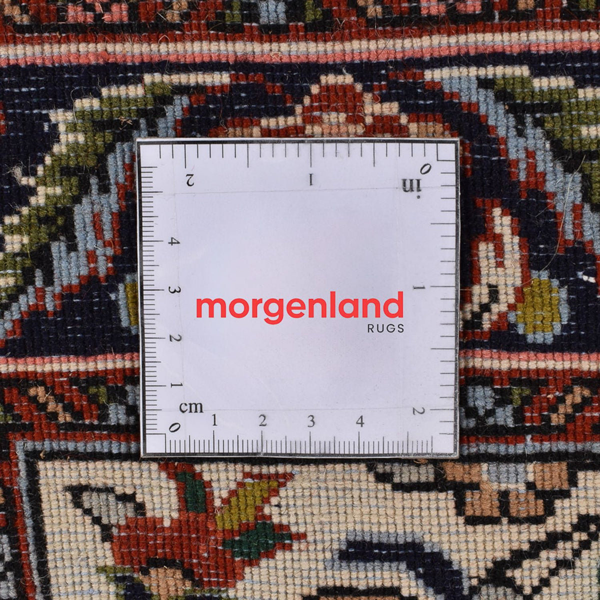 Tapis de couloir Tapis persan - Bidjar - 317 x 60 cm - beige