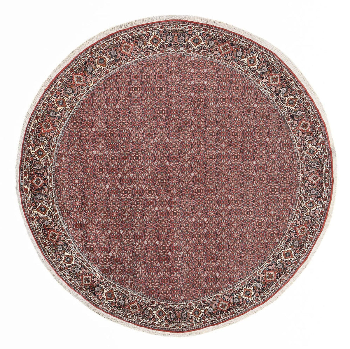 Tapis persan - Bidjar ronde  - 300 x 300 cm - rouge clair