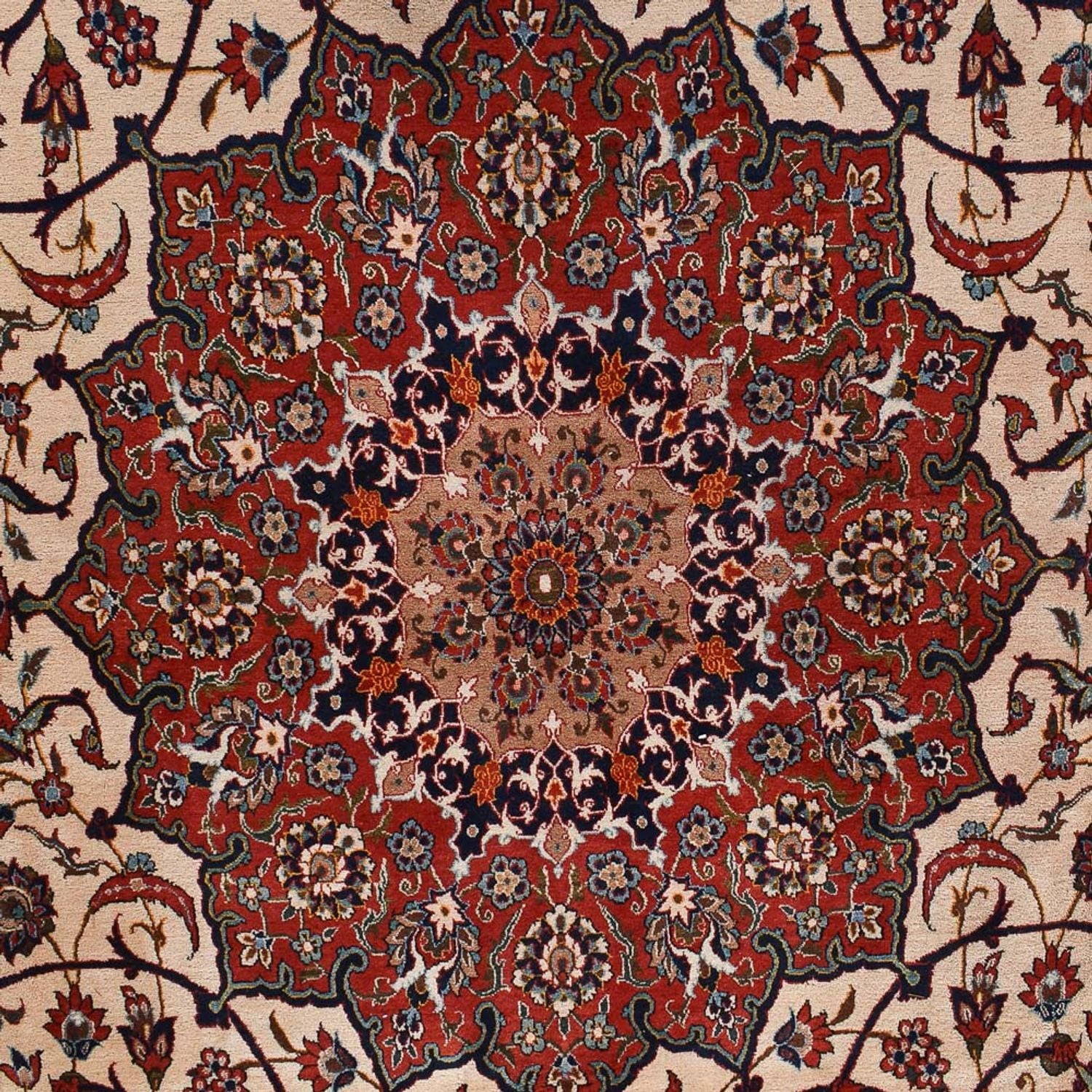 Tapis persan - Isfahan - Premium - 518 x 314 cm - crème