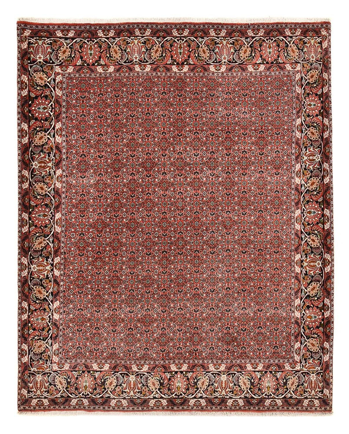 Tapis persan - Bidjar - 250 x 200 cm - rouge foncé
