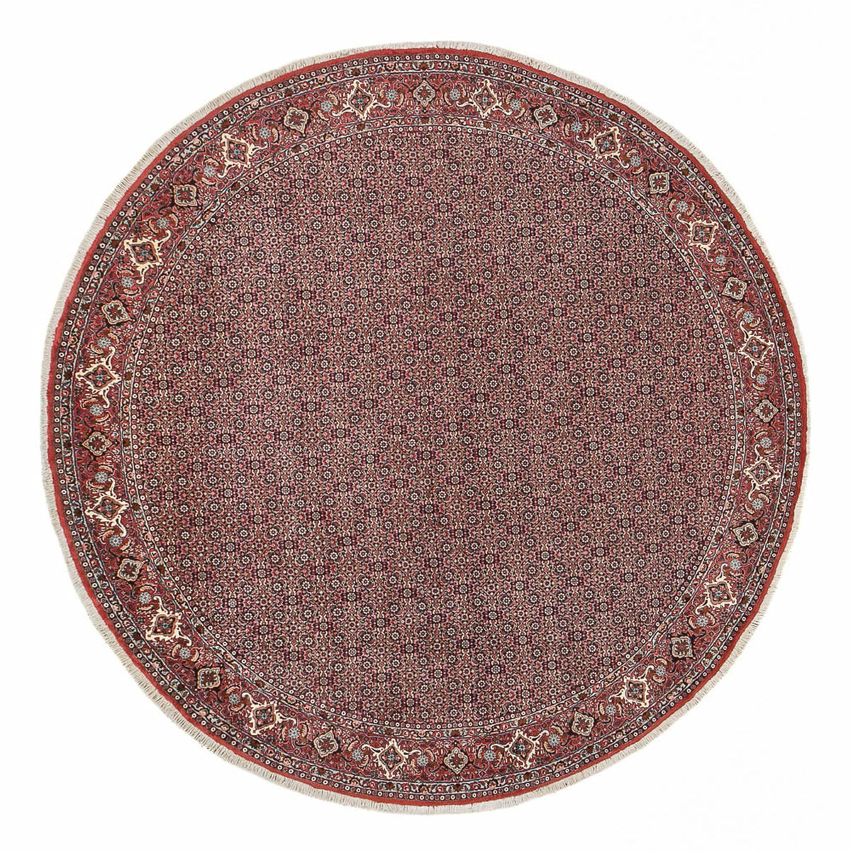Tapis persan - Bidjar ronde  - 300 x 300 cm - rouge foncé