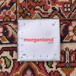 Tapis de couloir Tapis persan - Bidjar - 405 x 207 cm - rouille