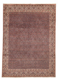 Tapis persan - Bidjar - 337 x 247 cm - rouille