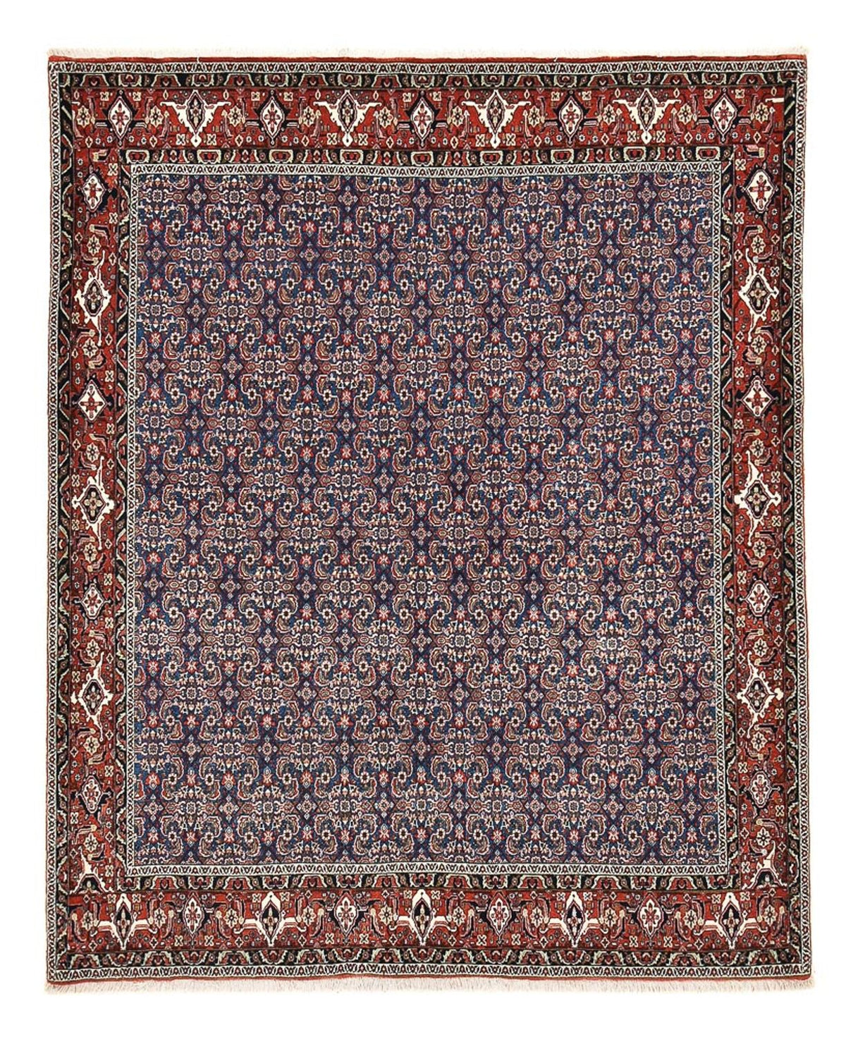 Tapis persan - Bidjar - 246 x 201 cm - violet