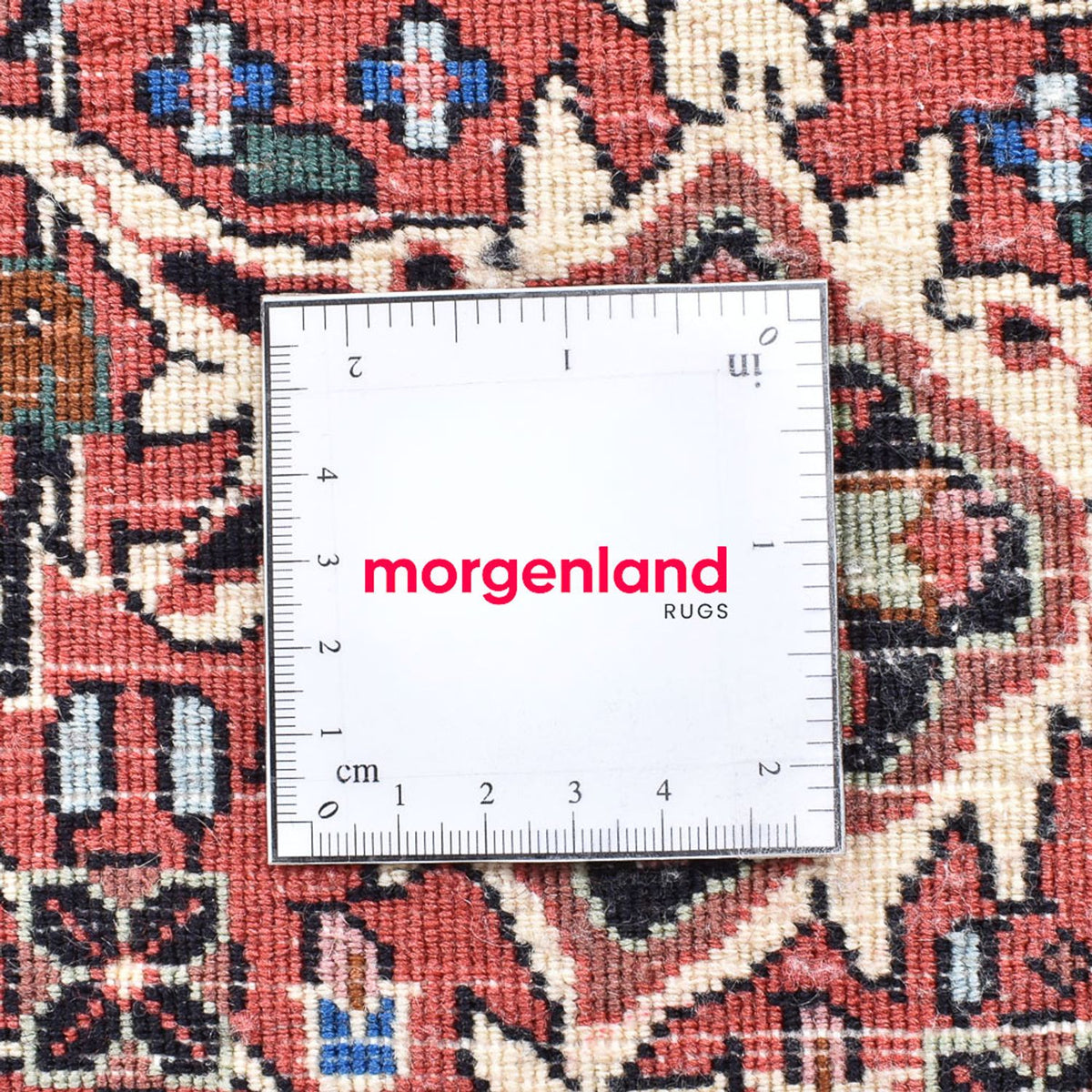 Tapis persan - Bidjar - 240 x 240 cm - rouge foncé