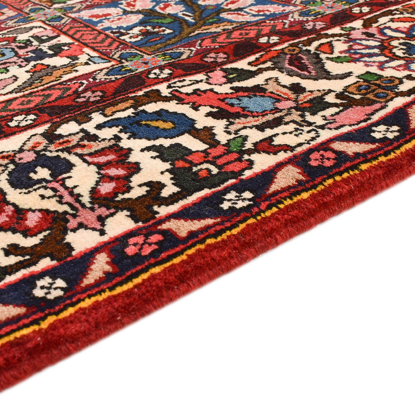 Tapis Bakhtiari Tapis 205x136cm - Tapis persan