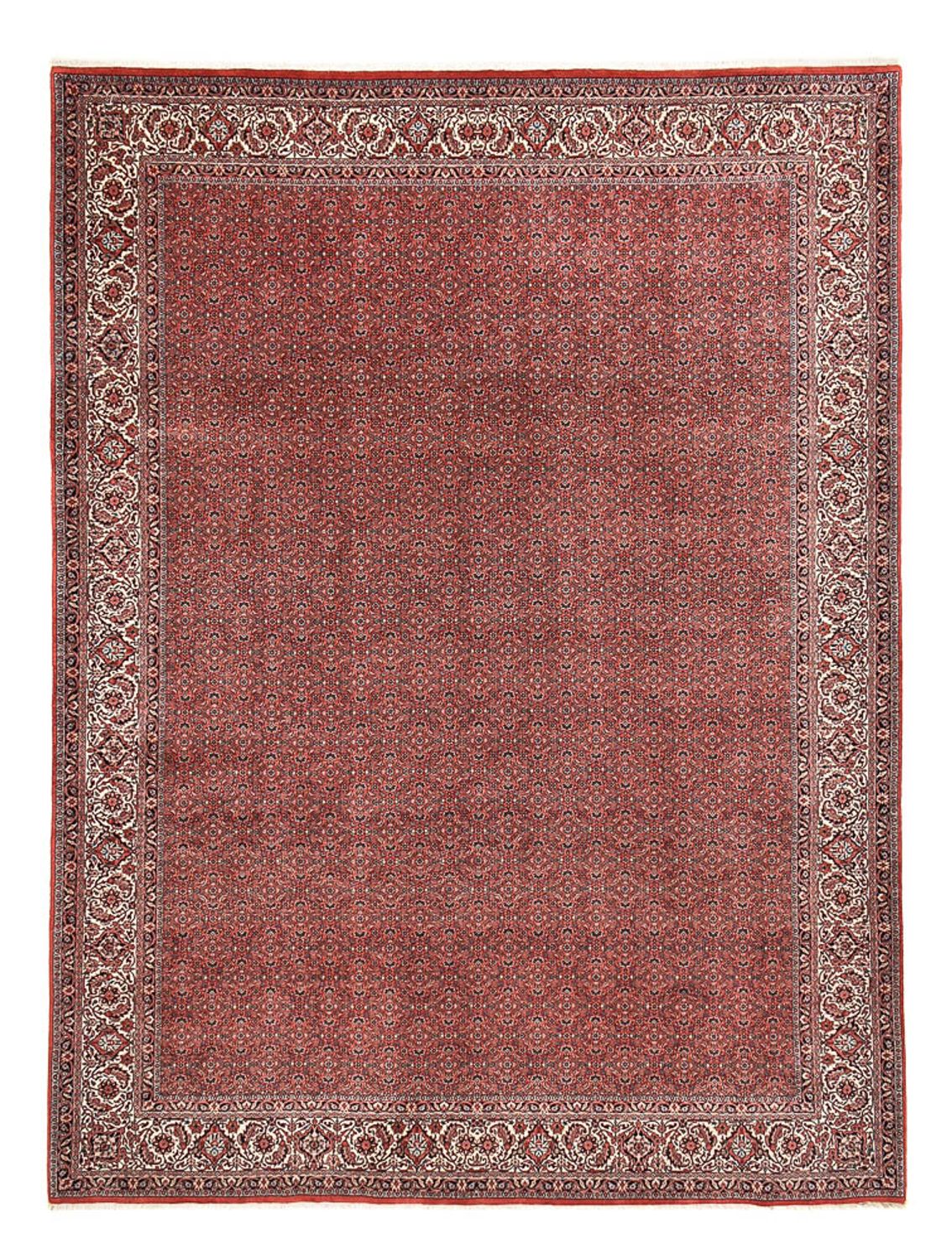 Tapis persan - Bidjar - 392 x 300 cm - rouge bordeaux