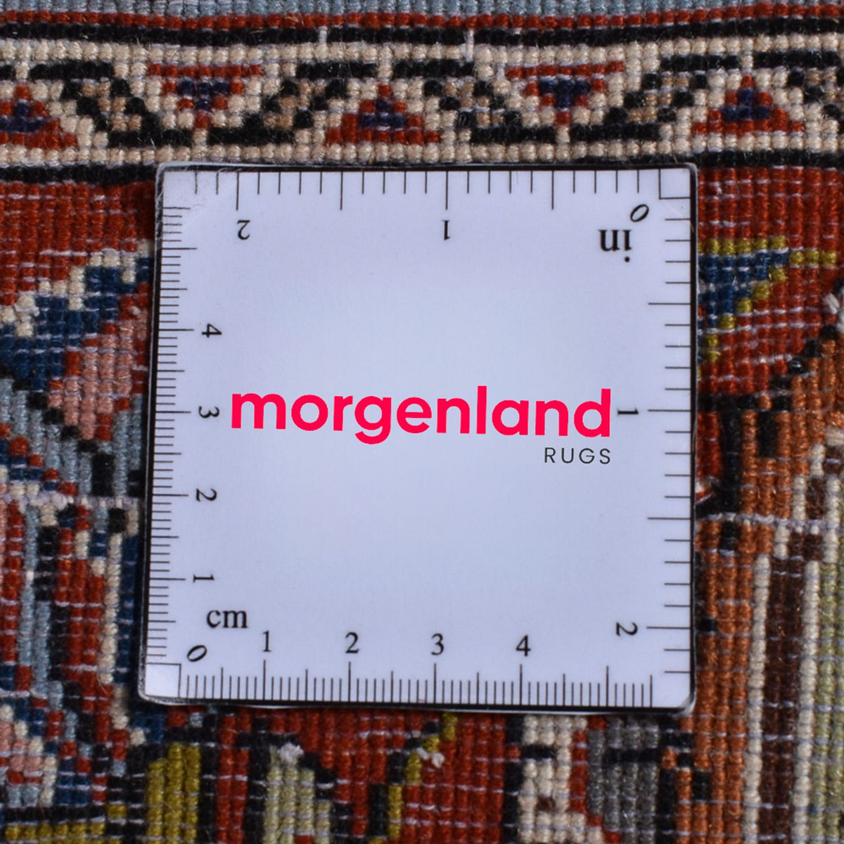 Tapis persan - Classique - 307 x 200 cm - beige clair