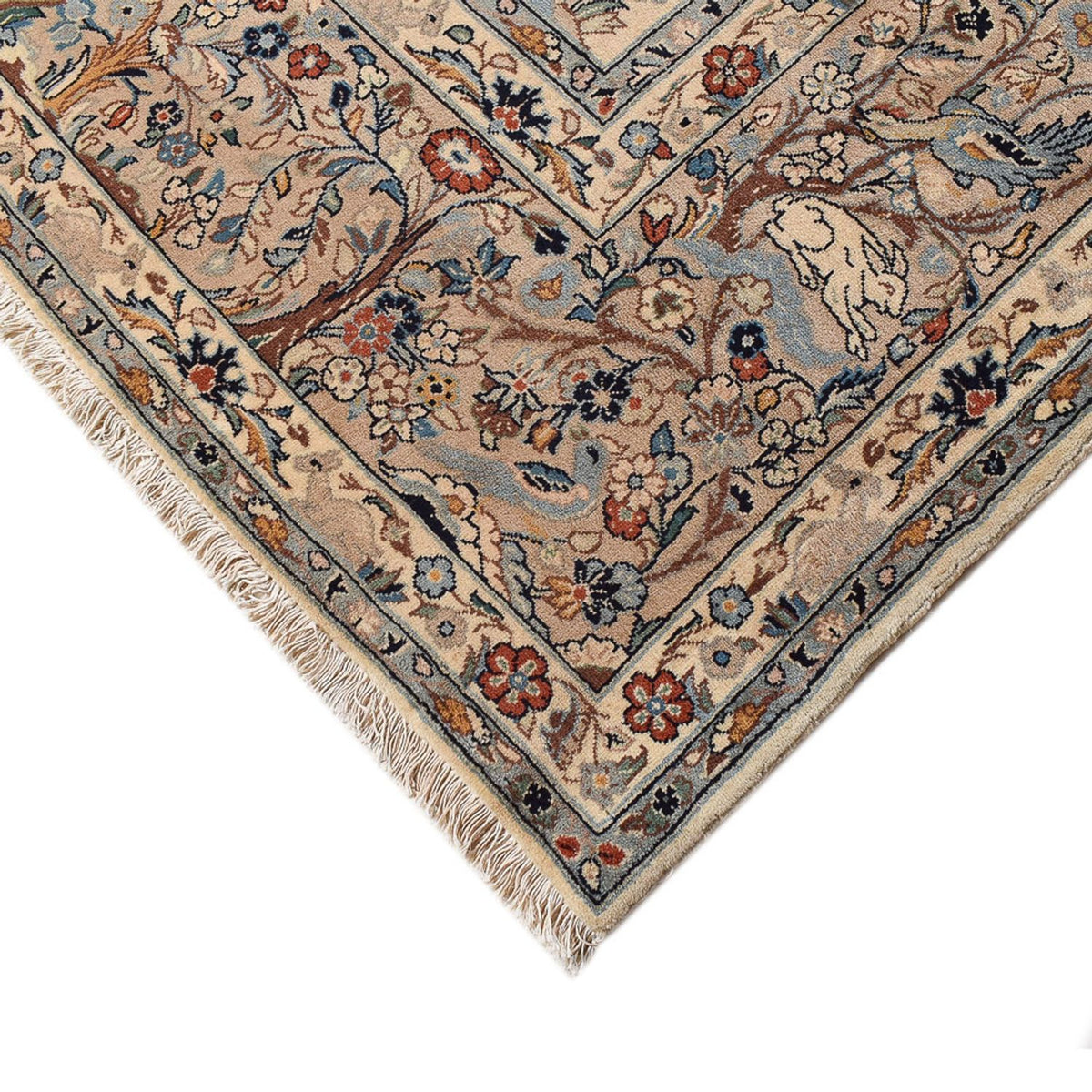 Tapis persan - Keshan - 342 x 247 cm - sable