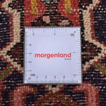 Tapis de couloir Tapis persan - Nomadic - 287 x 68 cm - rouge