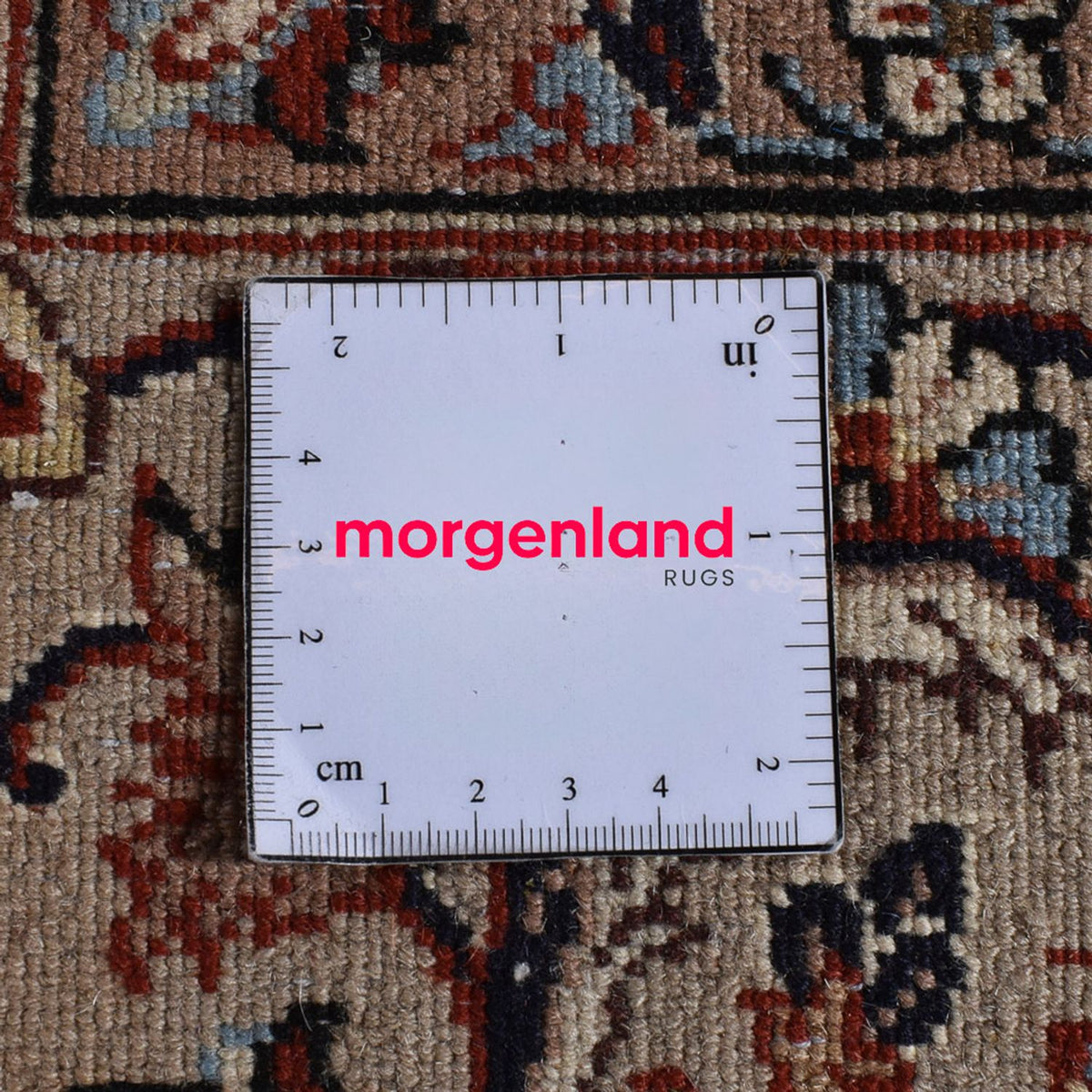 Tapis persan - Classique - 294 x 200 cm - sable