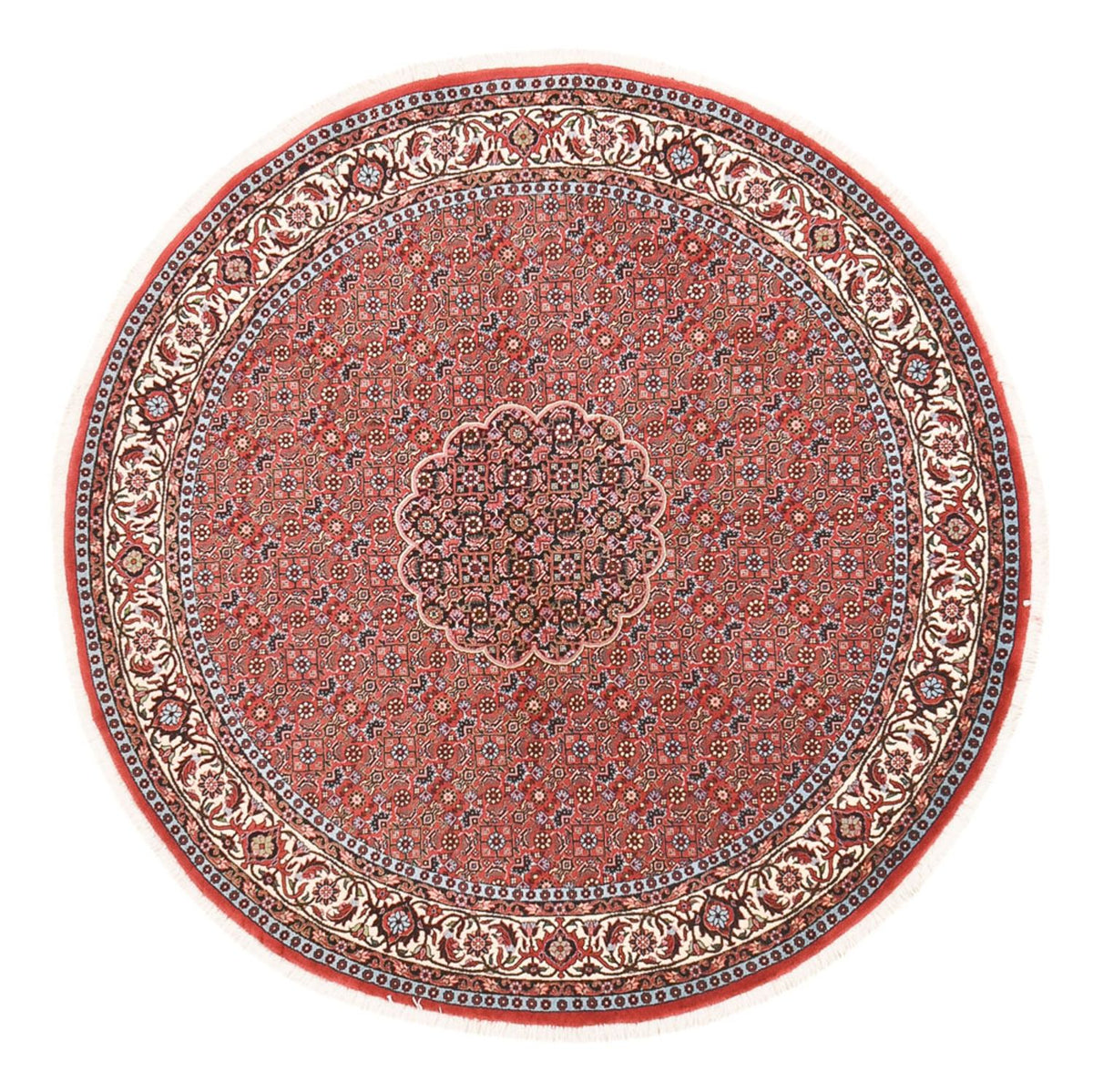 Tapis persan - Bidjar ronde  - 150 x 150 cm - rouille