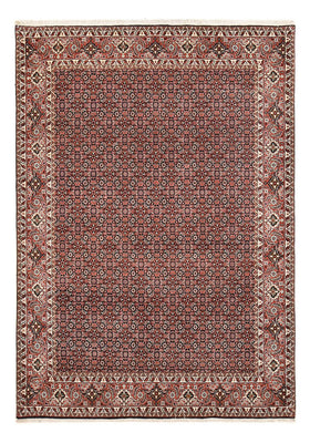 Tapis persan - Bidjar - 286 x 200 cm - rouille