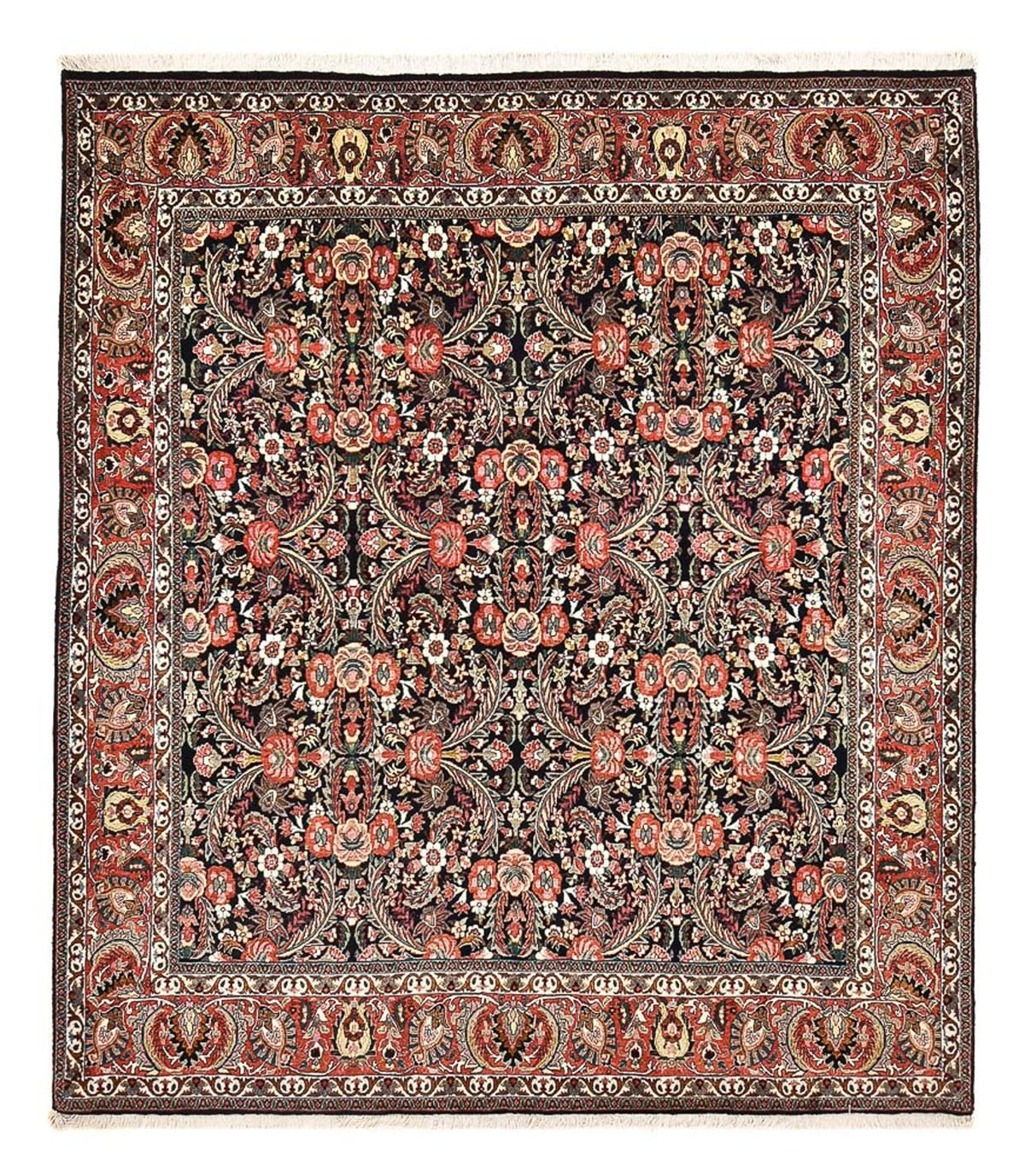 Tapis persan - Bidjar - 248 x 211 cm - rouille