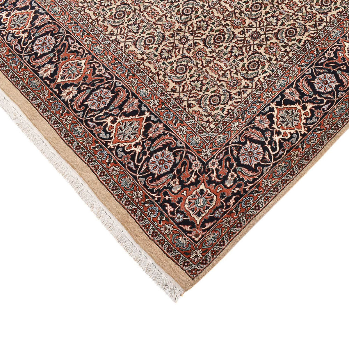Tapis persan - Bidjar - 302 x 205 cm - sable