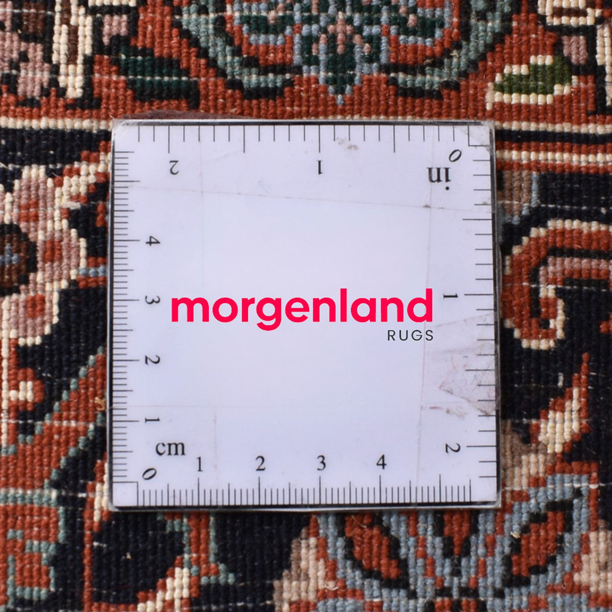 Tapis persan - Bidjar - 302 x 205 cm - sable