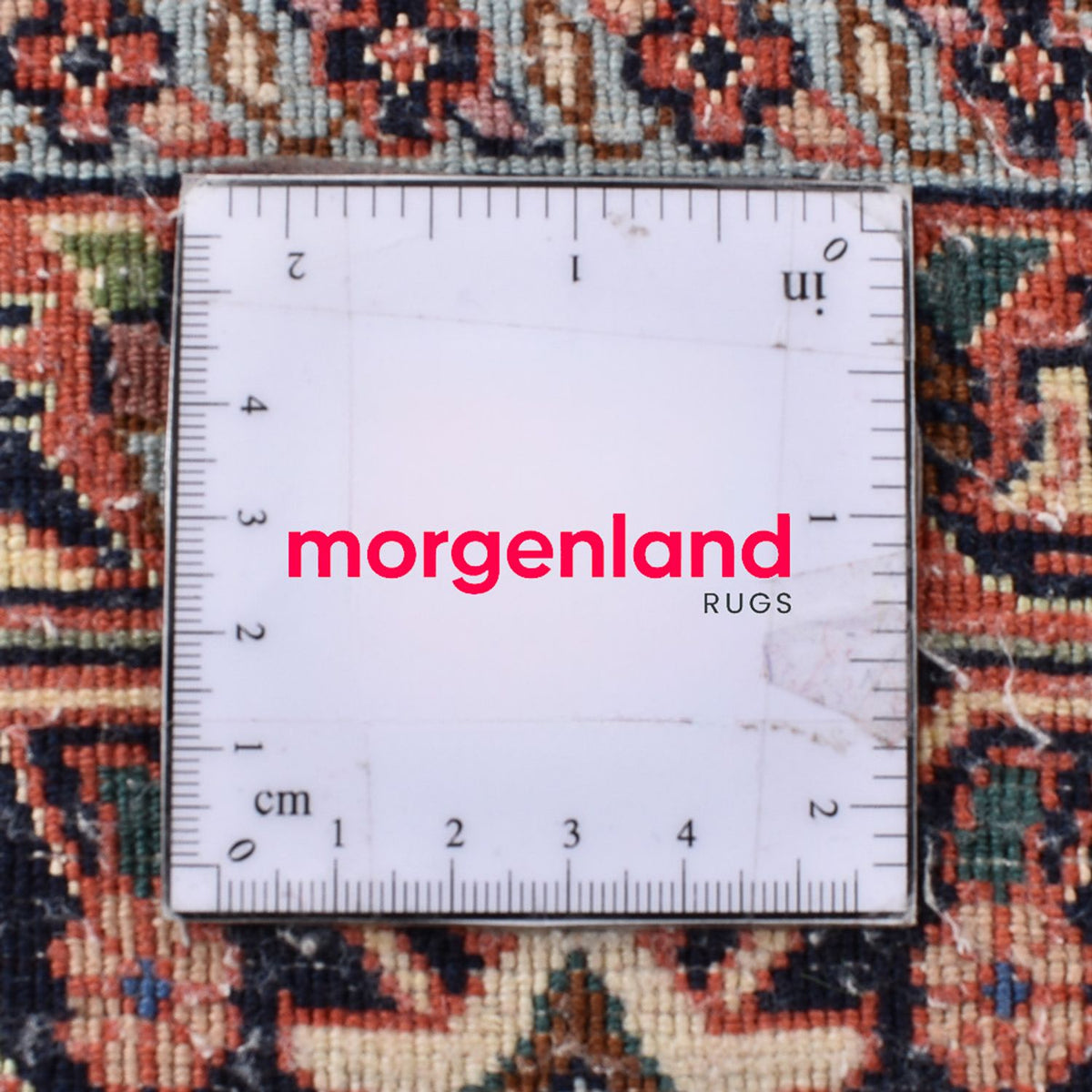 Tapis persan - Bidjar - 289 x 206 cm - sable