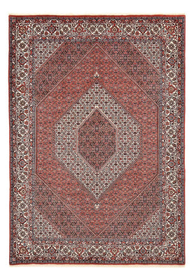 Tapis persan - Bidjar - 292 x 205 cm - rouille