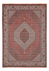 Tapis persan - Bidjar - 292 x 205 cm - rouille