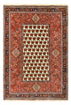 Kashkuli Tapis 260x172cm - Tapis persan