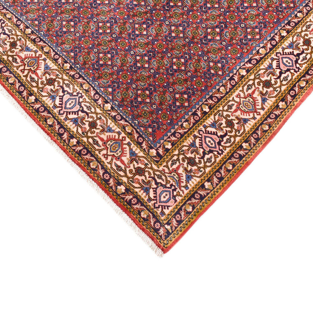 Tapis persan - Bidjar - 315 x 214 cm - rouille