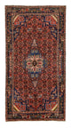 Kolyai Tapis 278x142cm - Tapis persan