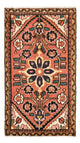 Tapis de Hamadan Tapis 100x54cm - Tapis persan