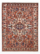 Tapis Bakhtiari Tapis 218x302cm - Tapis persan
