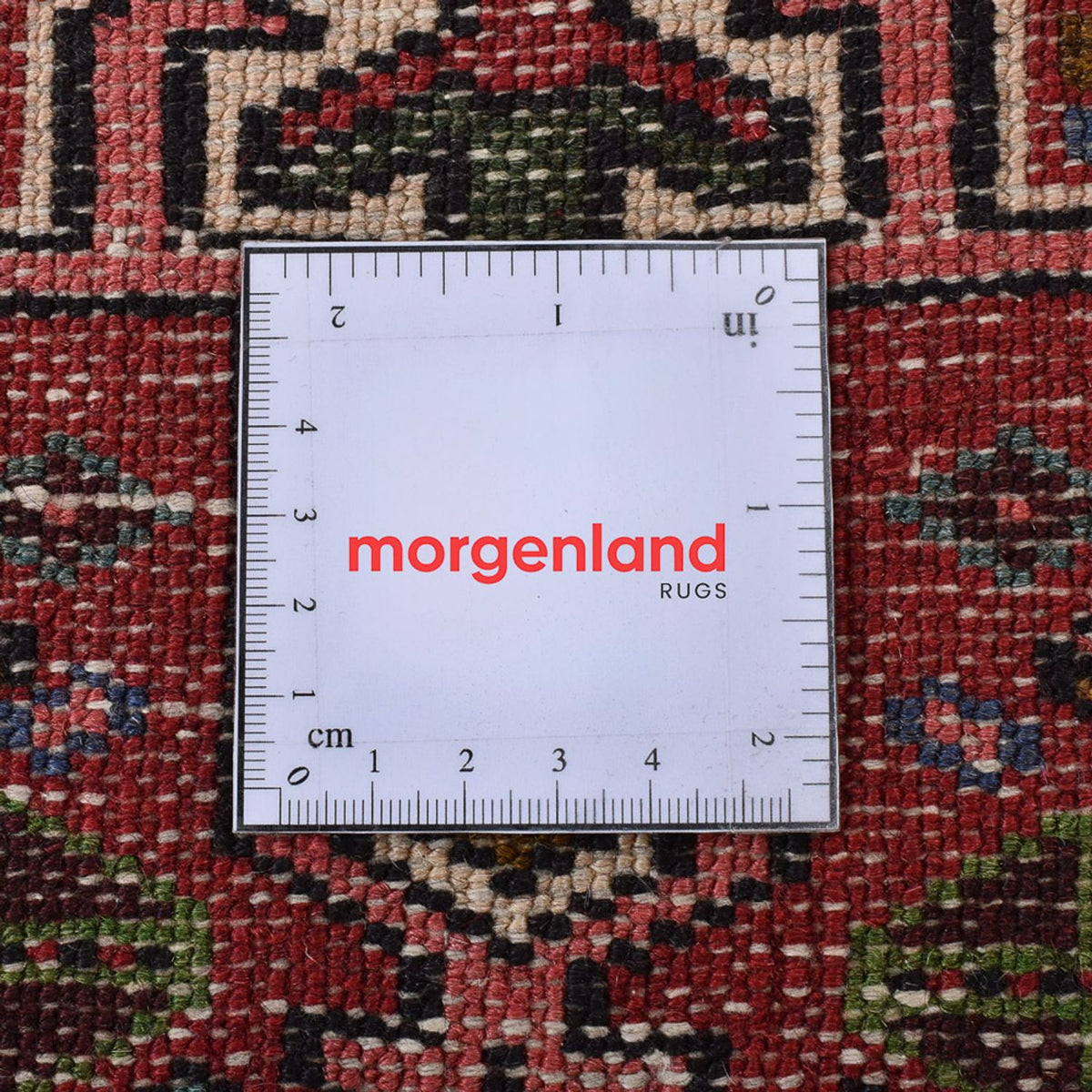 Tapis de couloir Tapis persan - Nomadic - 265 x 65 cm - rouge clair