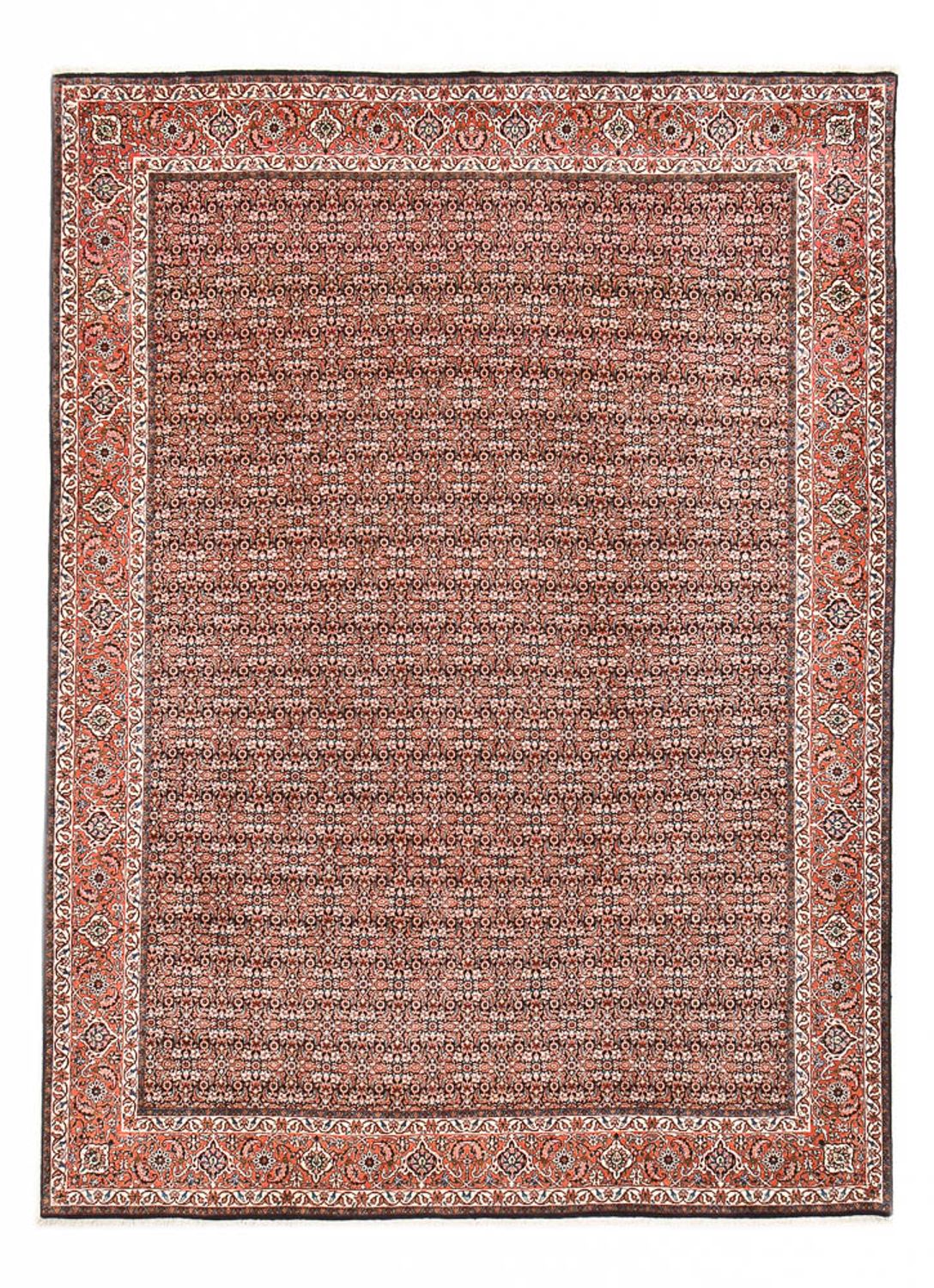 Tapis persan - Bidjar - 350 x 252 cm - rouille