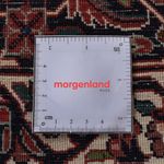 Tapis persan - Bidjar - 300 x 203 cm - rouille