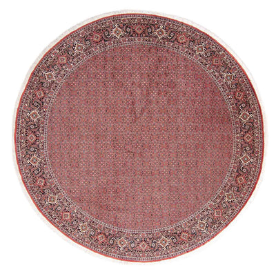 Tapis persan - Bidjar ronde  - 305 x 305 cm - rouge clair