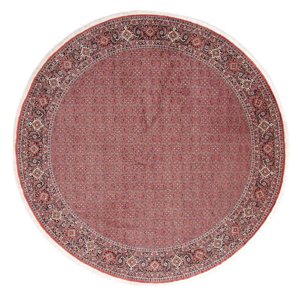 Tapis persan - Bidjar ronde  - 305 x 305 cm - rouge clair