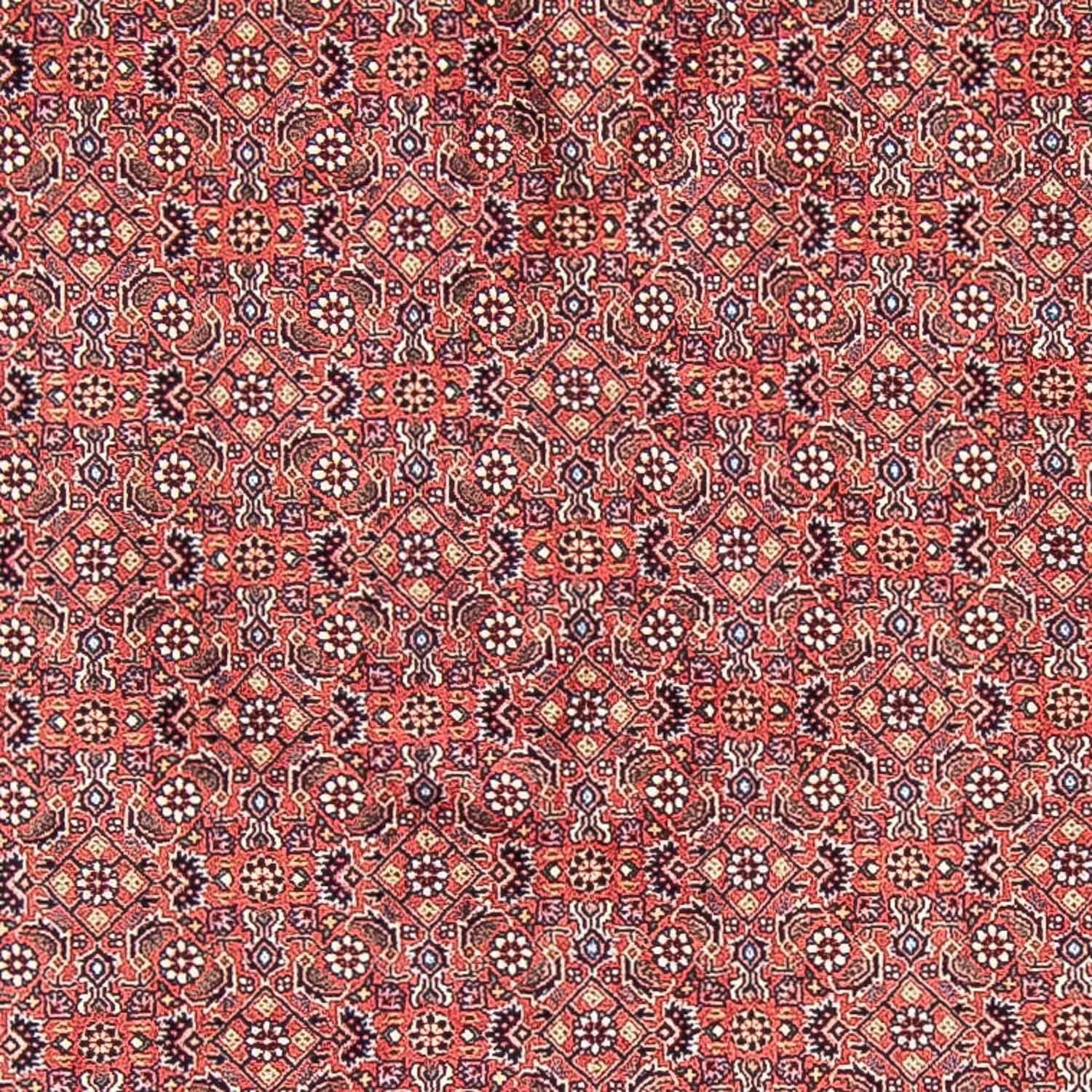 Tapis persan - Bidjar ronde  - 305 x 305 cm - rouge clair