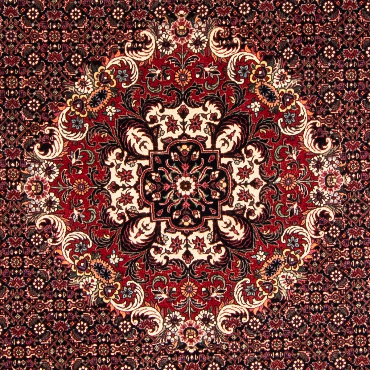 Tapis persan - Bidjar ronde  - 250 x 250 cm - rouge foncé