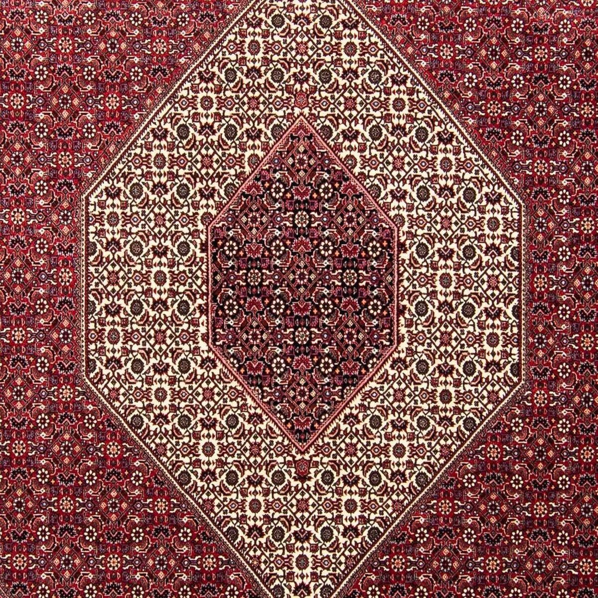 Tapis persan - Bidjar - 303 x 250 cm - rouge foncé