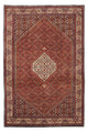 Tapis de Bidjar Tapis 245x167cm - Tapis persan