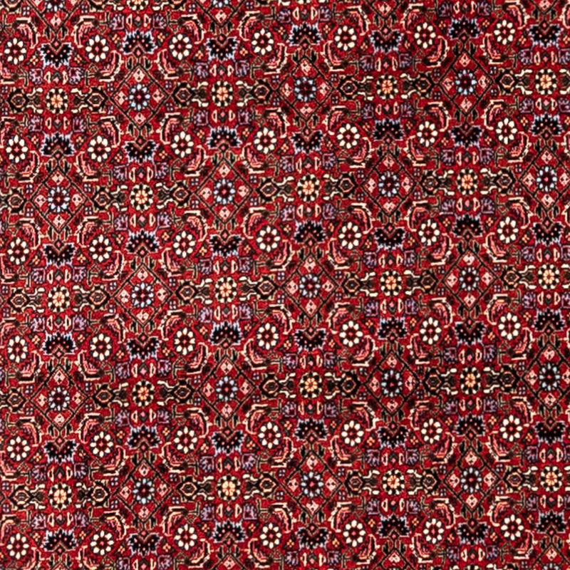 Tapis persan - Bidjar - 331 x 254 cm - rouge