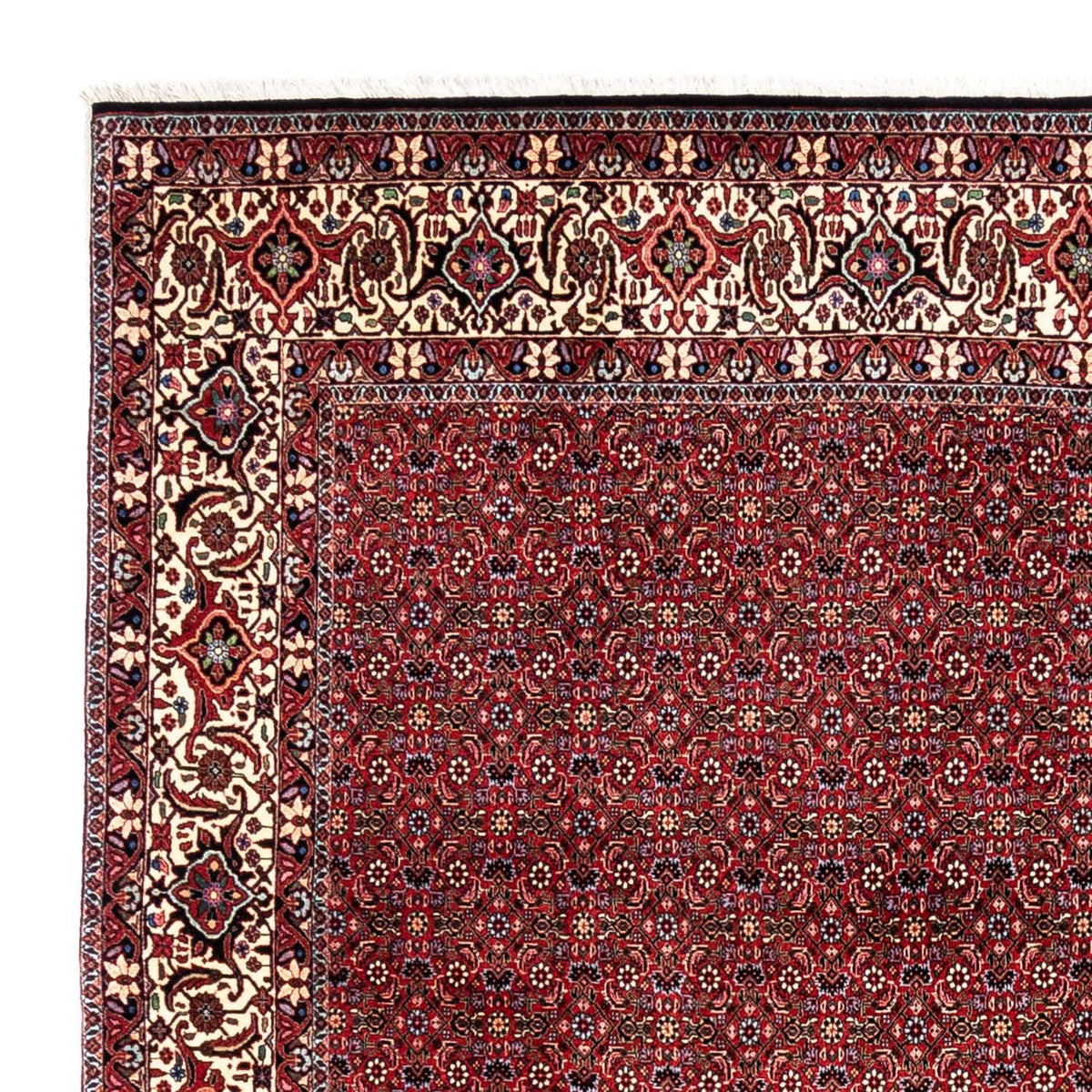 Tapis persan - Bidjar - 331 x 254 cm - rouge