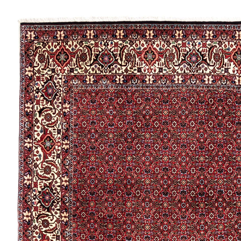 Tapis persan - Bidjar - 331 x 254 cm - rouge