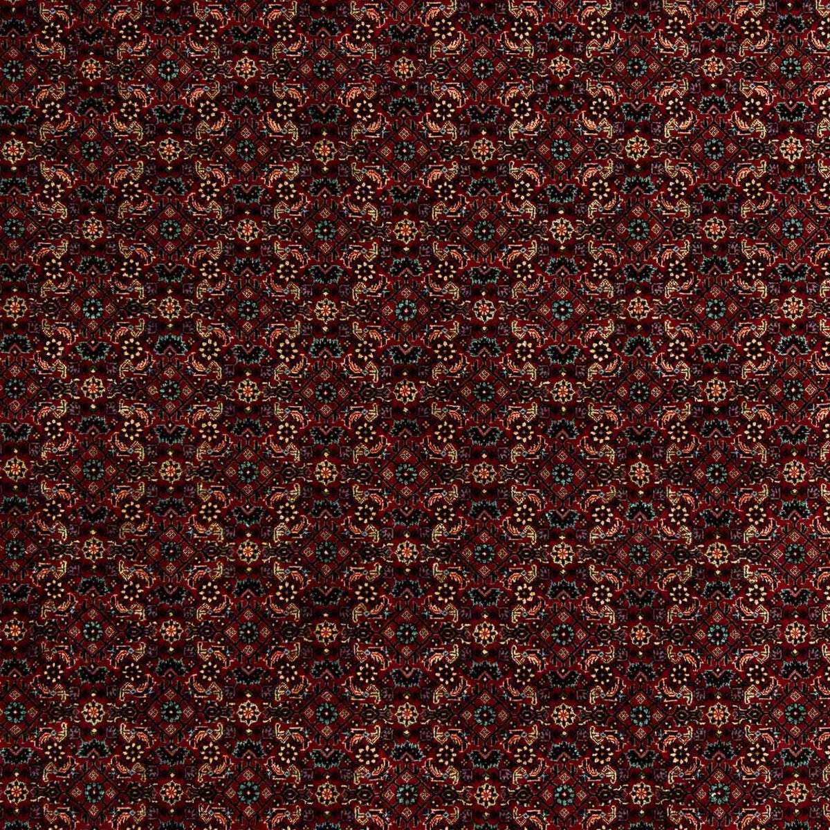 Tapis persan - Bidjar - 252 x 206 cm - rouge foncé