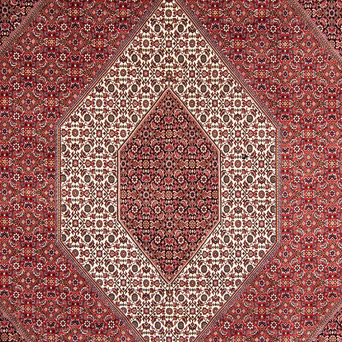 Tapis persan - Bidjar - 357 x 250 cm - rouge clair