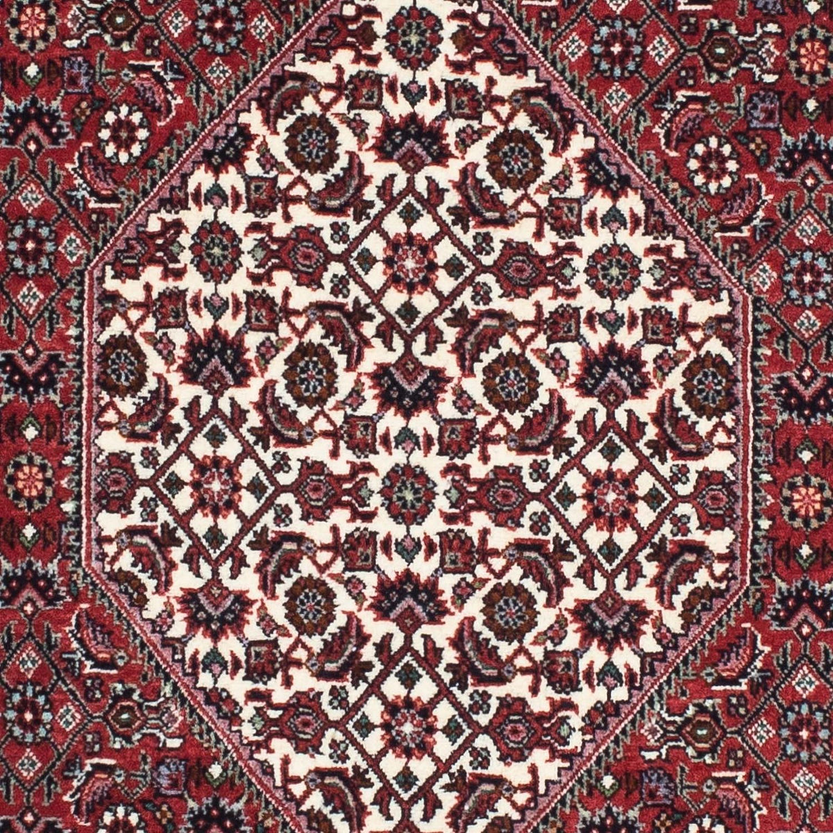 Tapis de couloir Tapis persan - Bidjar - 197 x 74 cm - rouge