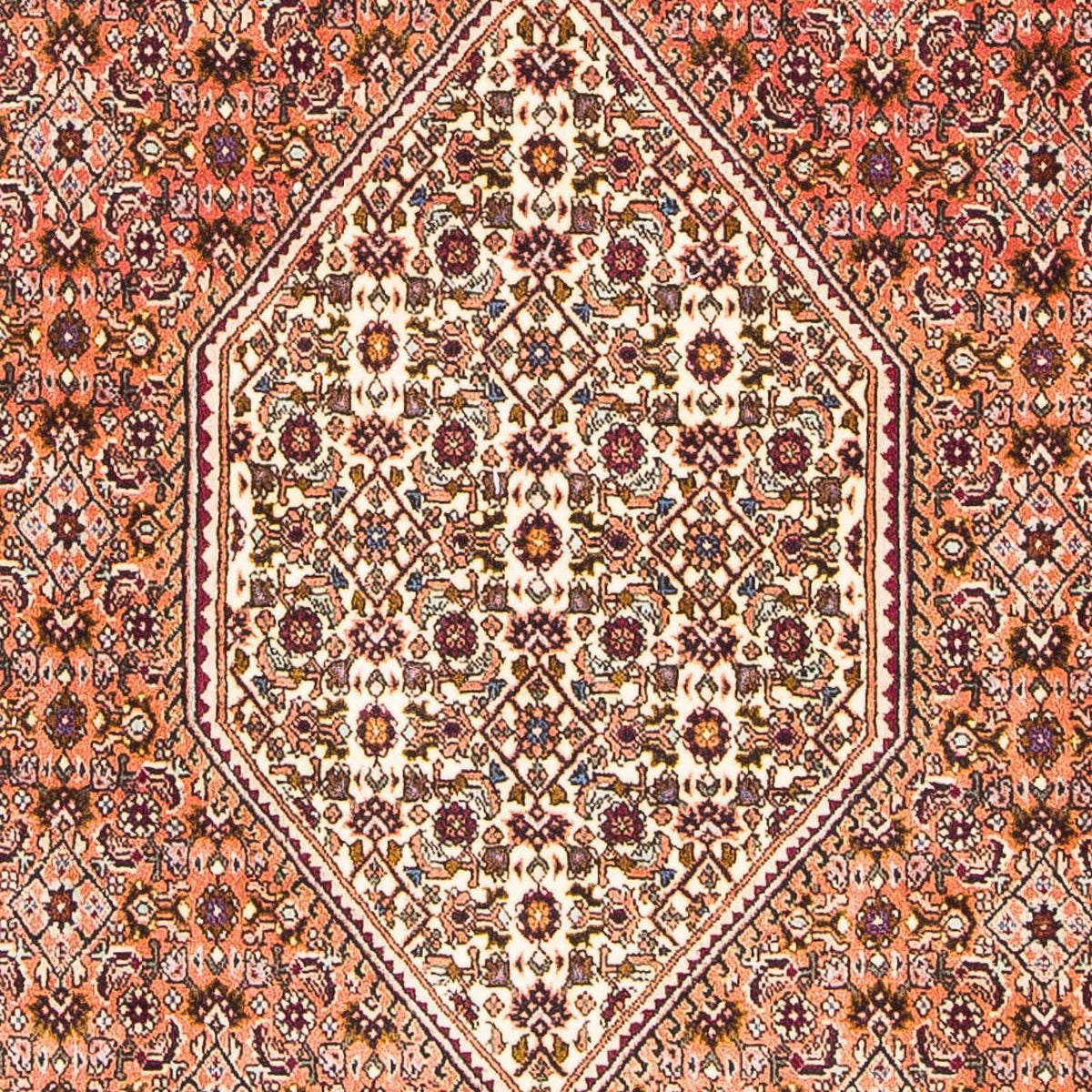 Tapis persan - Bidjar - 179 x 113 cm - rouge clair