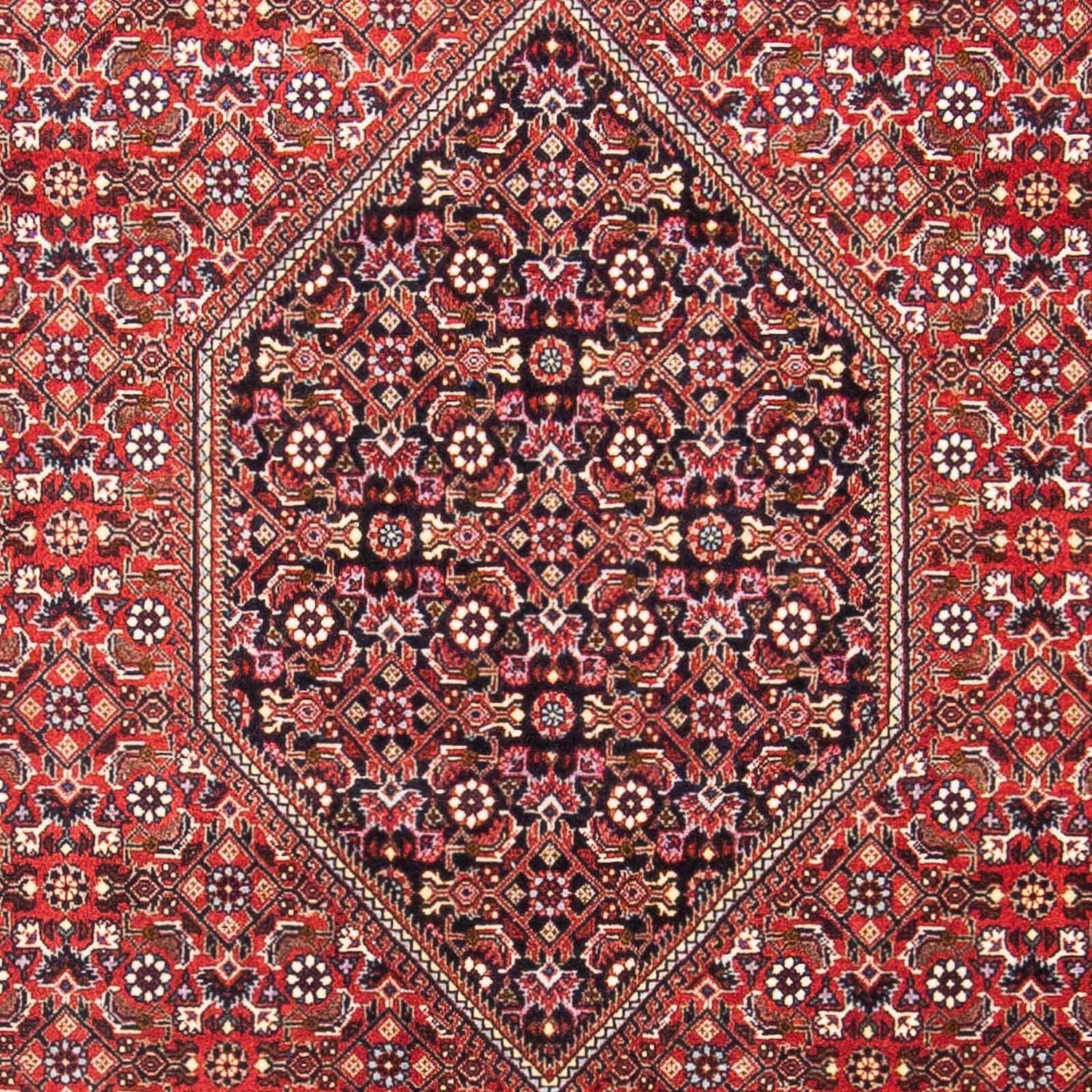 Tapis persan - Bidjar - 180 x 110 cm - rouge