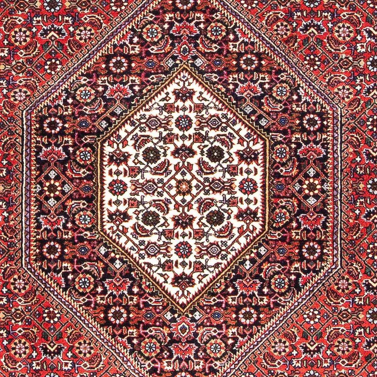 Tapis persan - Bidjar - 170 x 109 cm - rouge