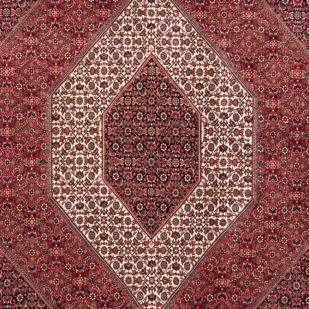 Tapis persan - Bidjar - 304 x 250 cm - rouge foncé