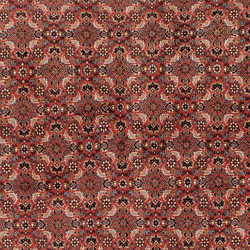 Tapis persan - Bidjar - 244 x 172 cm - rouge foncé