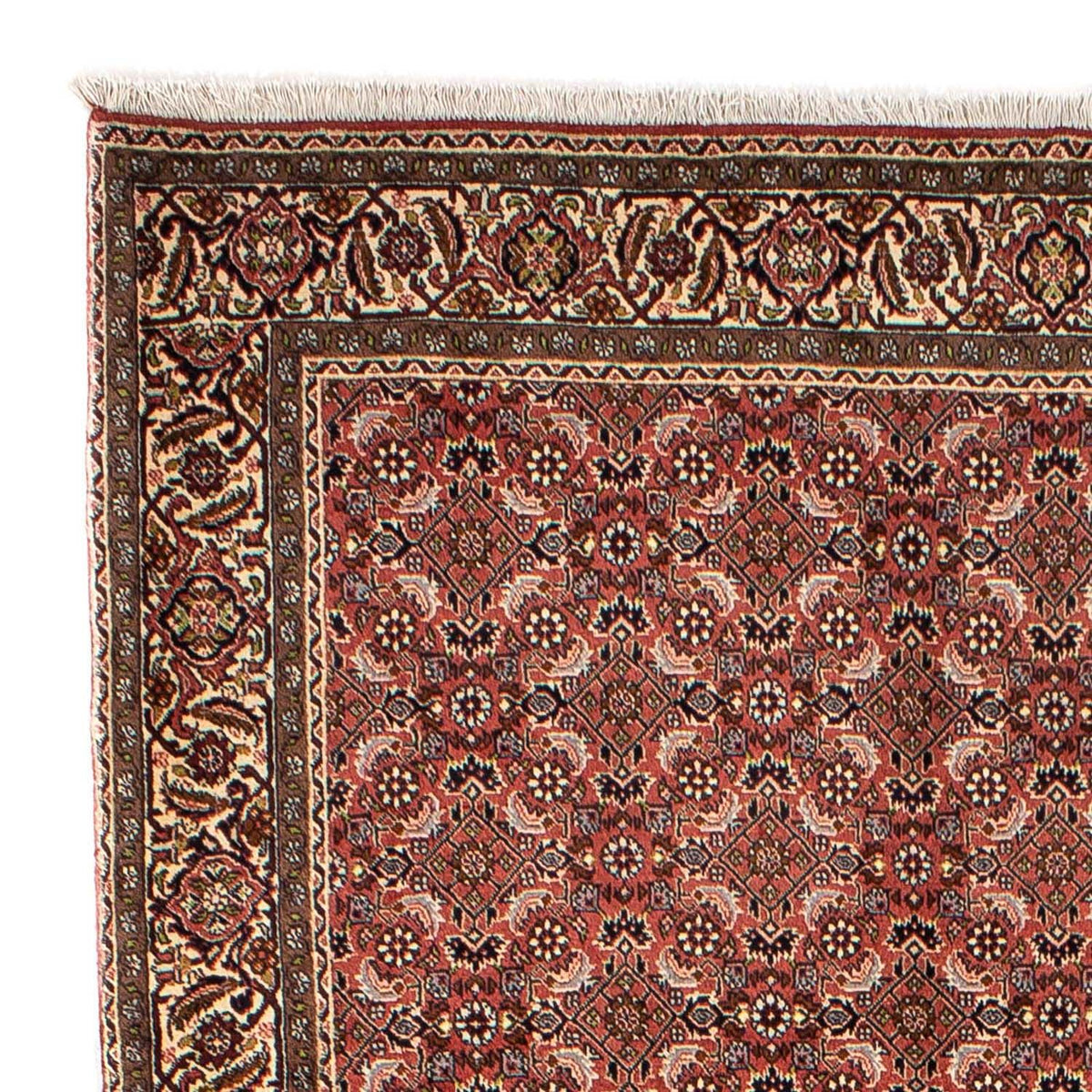 Tapis persan - Bidjar - 244 x 172 cm - rouge foncé